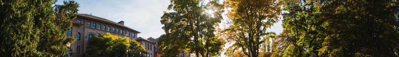The sun shines through trees with green and brown leaves on Old Main's front lawn 
